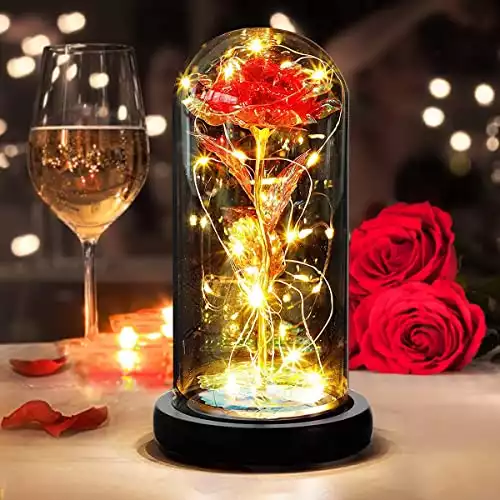 Rose éternelle sous cloche avec lumières - cadeau pour Saint Valentin