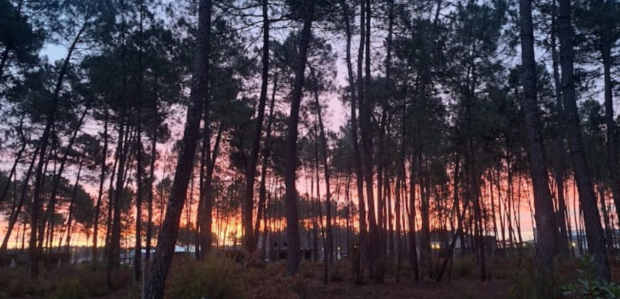 Center Parcs Landes Cottage