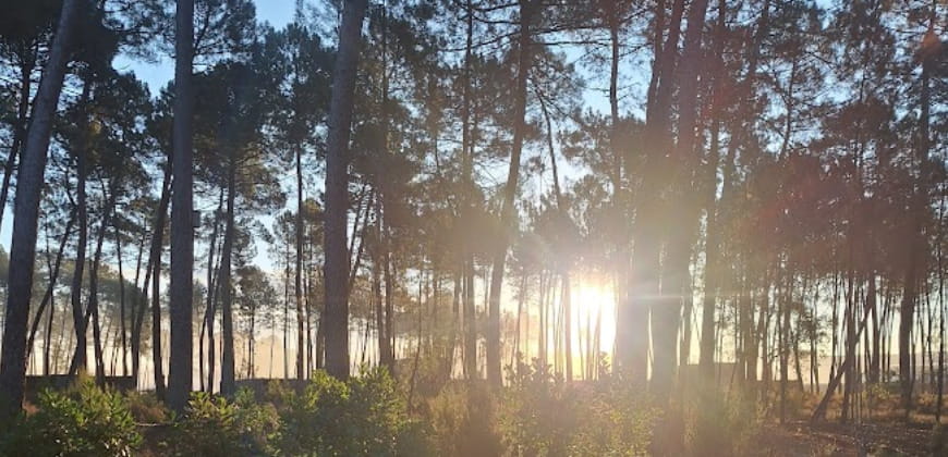 Center Parcs Landes en famille